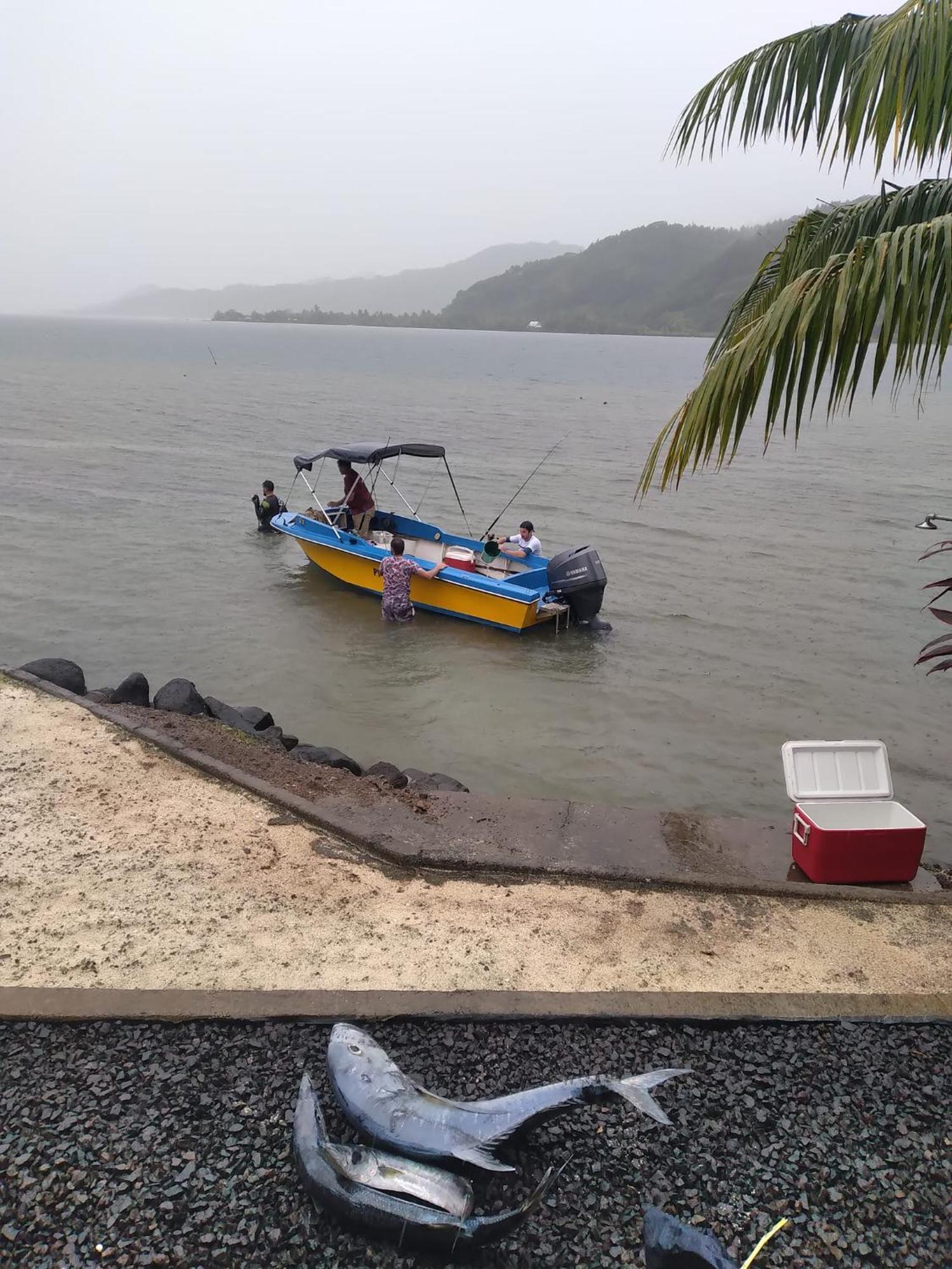 Villa De La Baie Raiatea - Bord De Mer Uturoa Ngoại thất bức ảnh